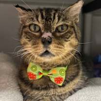 Thumbnail photo of Winslow #1