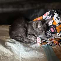 Thumbnail photo of Marty McFly #2