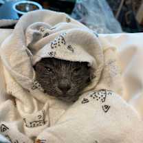 Thumbnail photo of Marty McFly #3