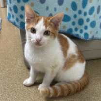 Thumbnail photo of River #1