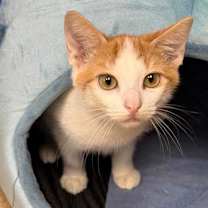 Thumbnail photo of River #2