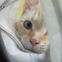 Thumbnail photo of Spank #2