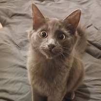 Thumbnail photo of Smokey #3