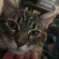 Thumbnail photo of AMY #4