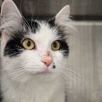 Thumbnail photo of Marilyn #2