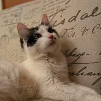 Thumbnail photo of Marilyn #3