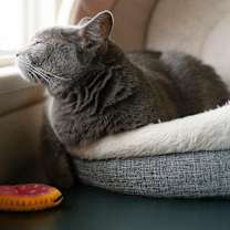 Thumbnail photo of Backpack #4