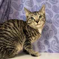 Thumbnail photo of Tony #2