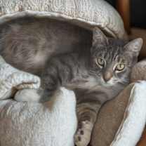 Thumbnail photo of LA (Ella) #1