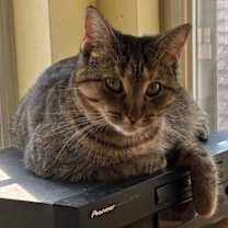 Thumbnail photo of Roxie #4