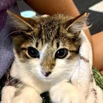 Thumbnail photo of Wednesday #2