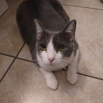 Thumbnail photo of James #1