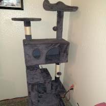 Thumbnail photo of James #4