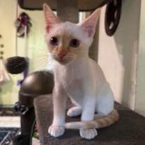 Thumbnail photo of Snow #3