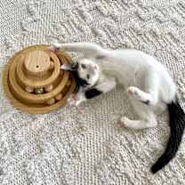 Thumbnail photo of Lula #1