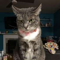 Thumbnail photo of Lil #1