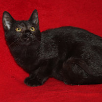 Thumbnail photo of Jackie #1