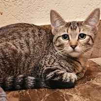 Thumbnail photo of Whinnie #3