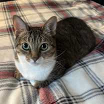 Thumbnail photo of Nube #1