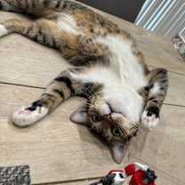 Thumbnail photo of Nube #2