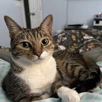 Thumbnail photo of Nube #3