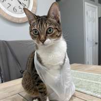 Thumbnail photo of Nube #4