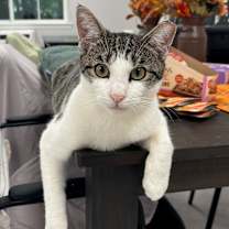 Thumbnail photo of Sunny #1