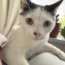 Thumbnail photo of Trinity #2