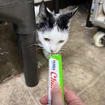 Thumbnail photo of Trinity #3