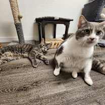 Thumbnail photo of Midnight #7 #2