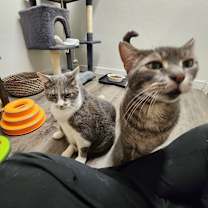 Thumbnail photo of Midnight #7 #3