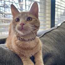 Thumbnail photo of Roo #2