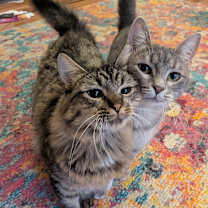 Thumbnail photo of Nessa Rose #3