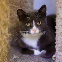 Thumbnail photo of Doja #3