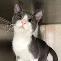 Thumbnail photo of Eugene #3