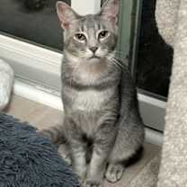 Thumbnail photo of Georgie md #3