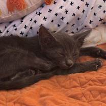 Thumbnail photo of Marty McFly #4