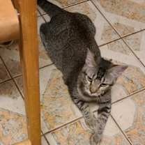 Thumbnail photo of Barbara #3