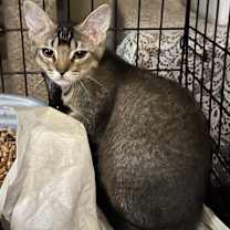 Thumbnail photo of Laura  #2