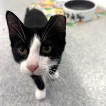 Thumbnail photo of Richie #2