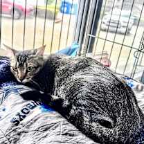 Thumbnail photo of Barbara #4