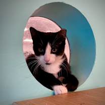 Thumbnail photo of Richie #4