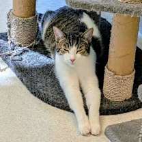 Thumbnail photo of Fidget #2