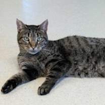 Thumbnail photo of Rain #2