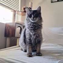 Thumbnail photo of Valentina #2