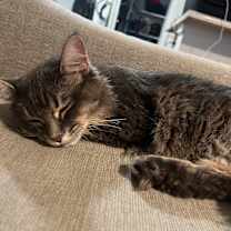 Thumbnail photo of Valentina #3