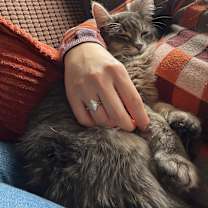 Thumbnail photo of Valentina #4