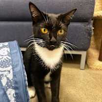 Thumbnail photo of Ohana #3