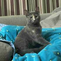 Thumbnail photo of Love #2