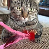Thumbnail photo of Maggie Rose #3